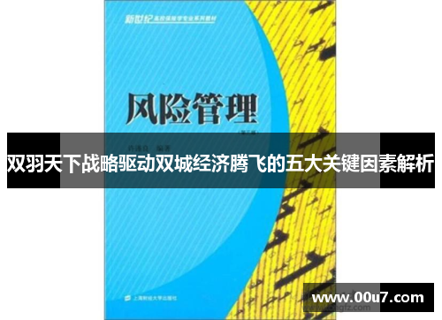 双羽天下战略驱动双城经济腾飞的五大关键因素解析