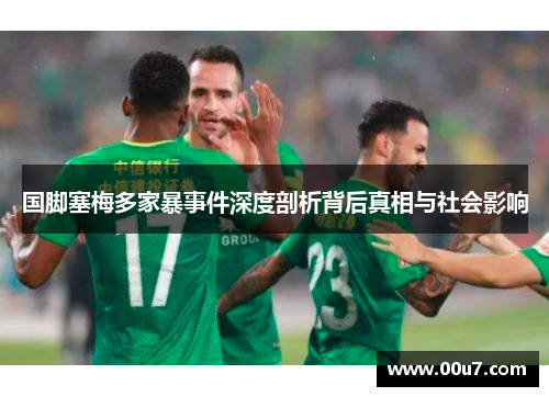 国脚塞梅多家暴事件深度剖析背后真相与社会影响