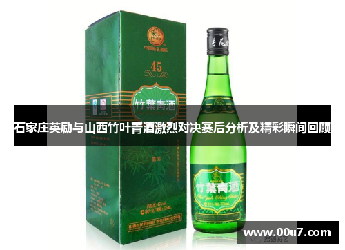 石家庄英励与山西竹叶青酒激烈对决赛后分析及精彩瞬间回顾
