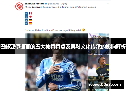 巴舒亚伊语言的五大独特特点及其对文化传承的影响解析